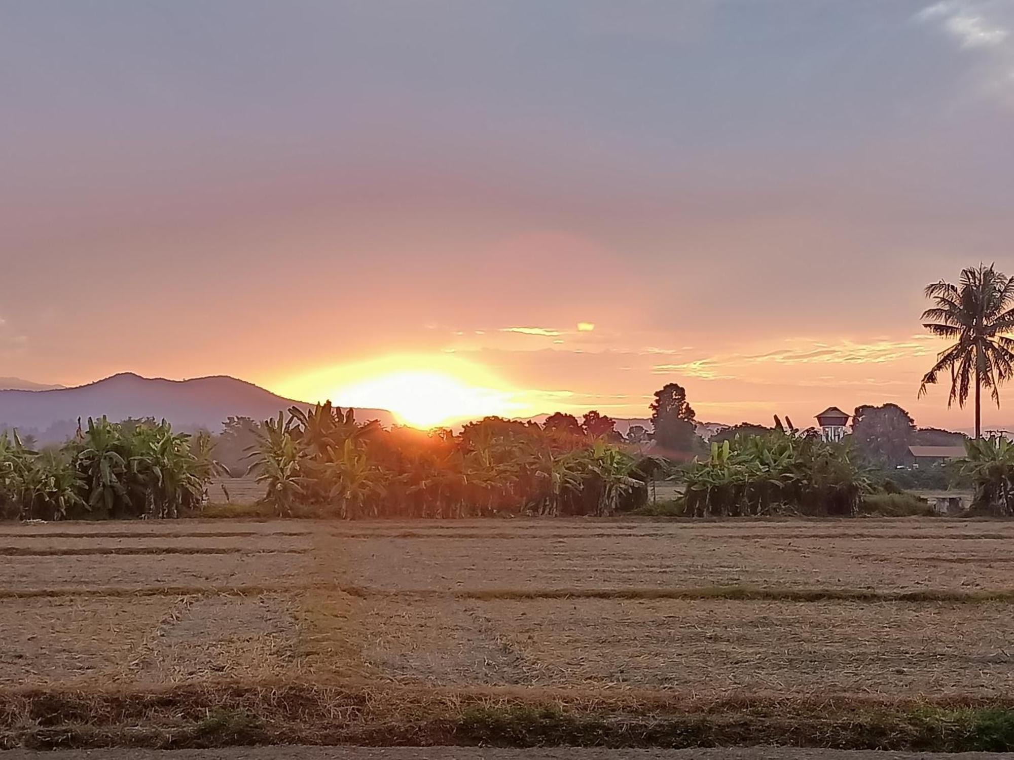Villa Albizia, Chiang Mai Дойсакет Экстерьер фото