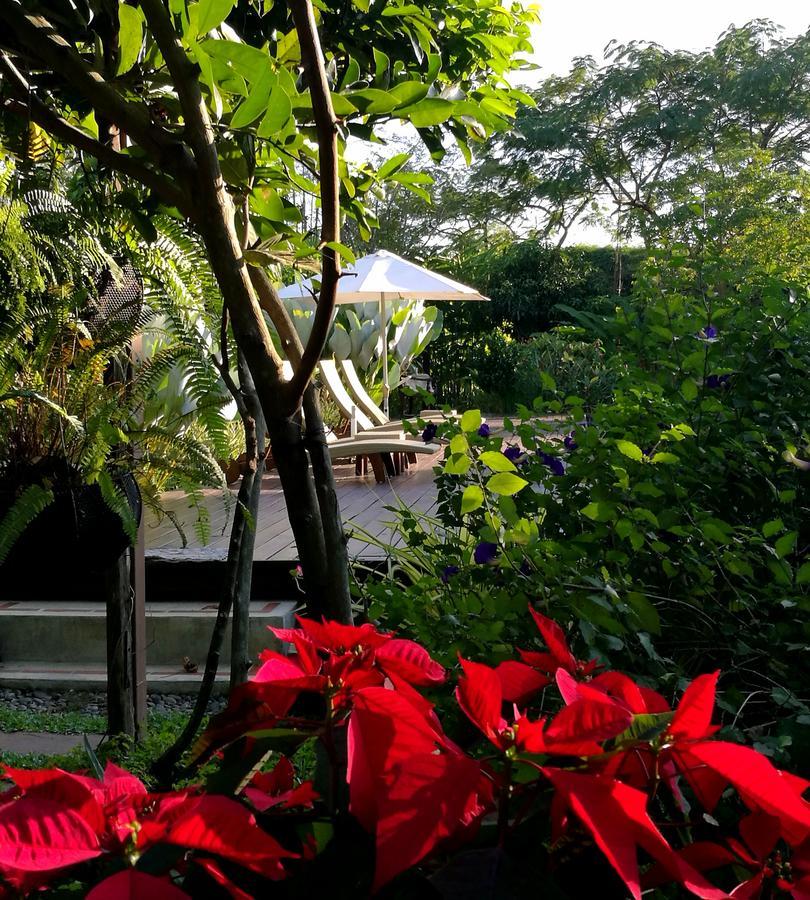 Villa Albizia, Chiang Mai Дойсакет Экстерьер фото